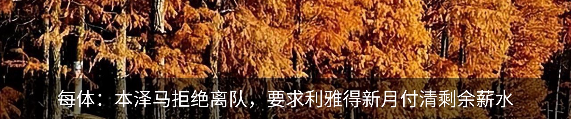最新动态