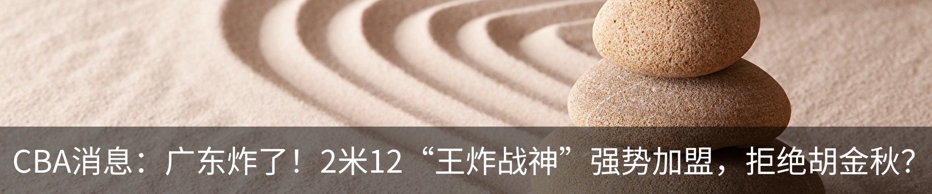 最新动态